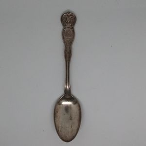 WM Rogers, eagle series collectible spoon, Texas